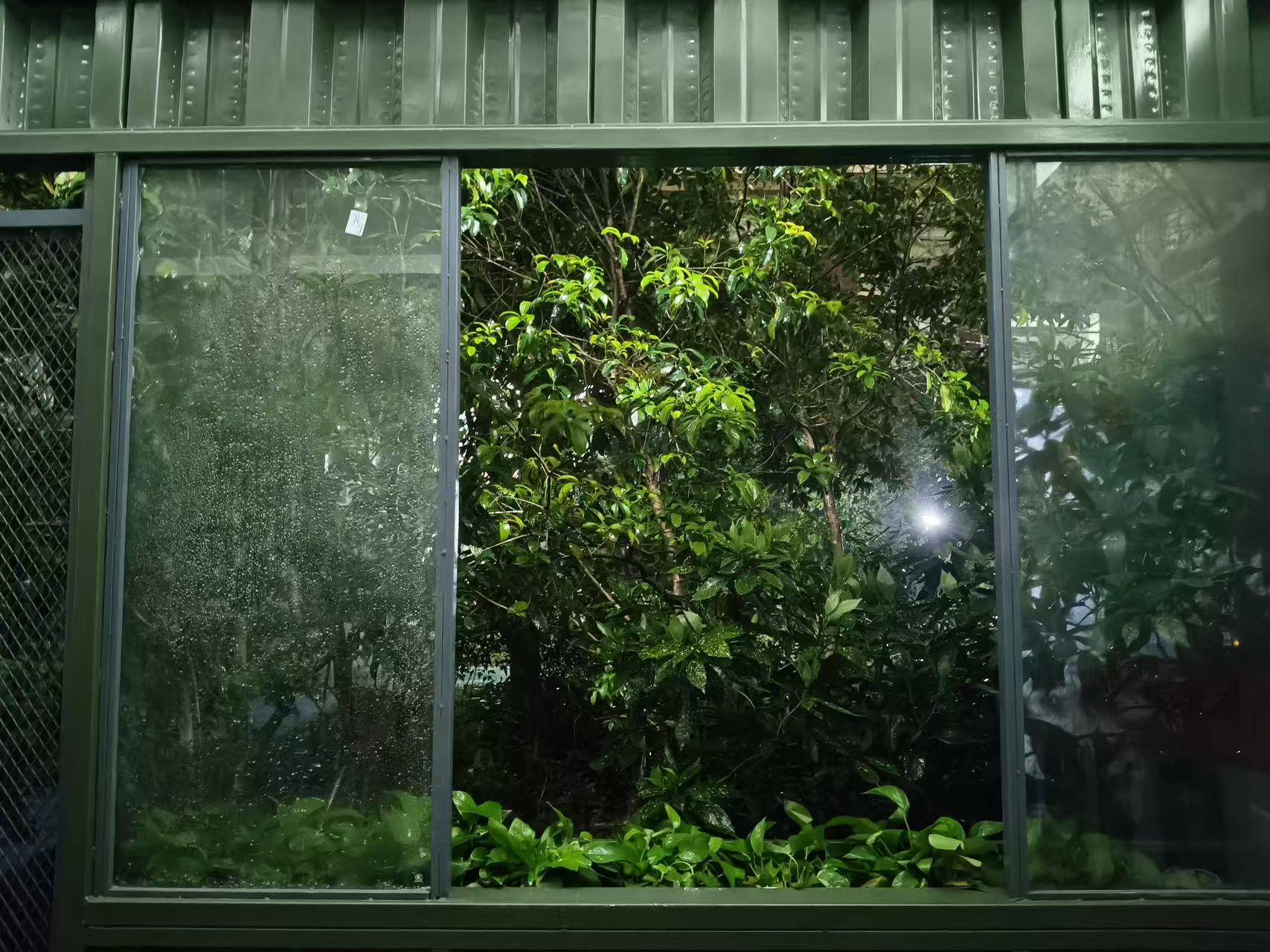 呼吸绿盒绿植窗口最终实拍