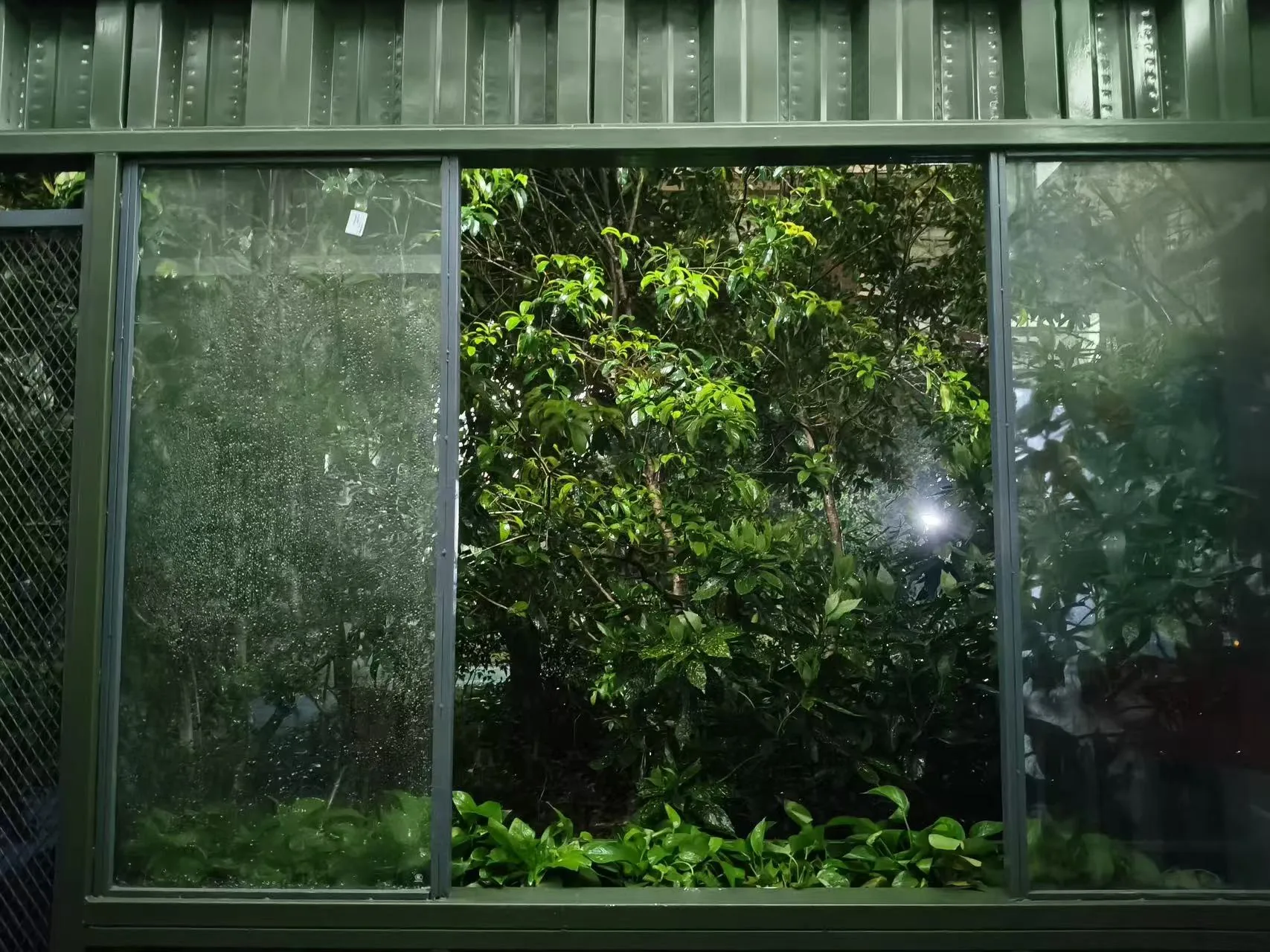 呼吸绿盒绿植窗口最终实拍