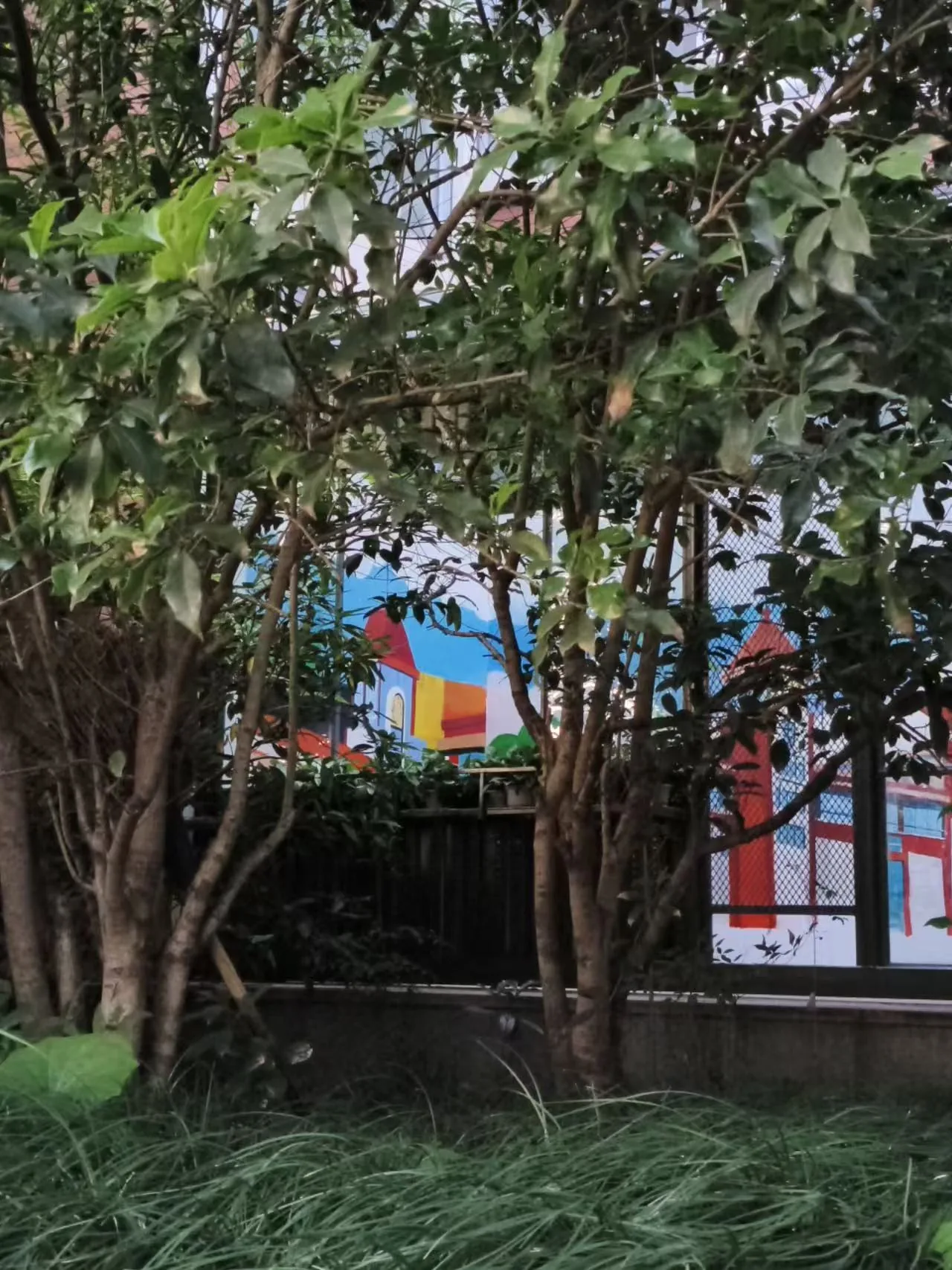 呼吸绿盒现场搭建完成照片