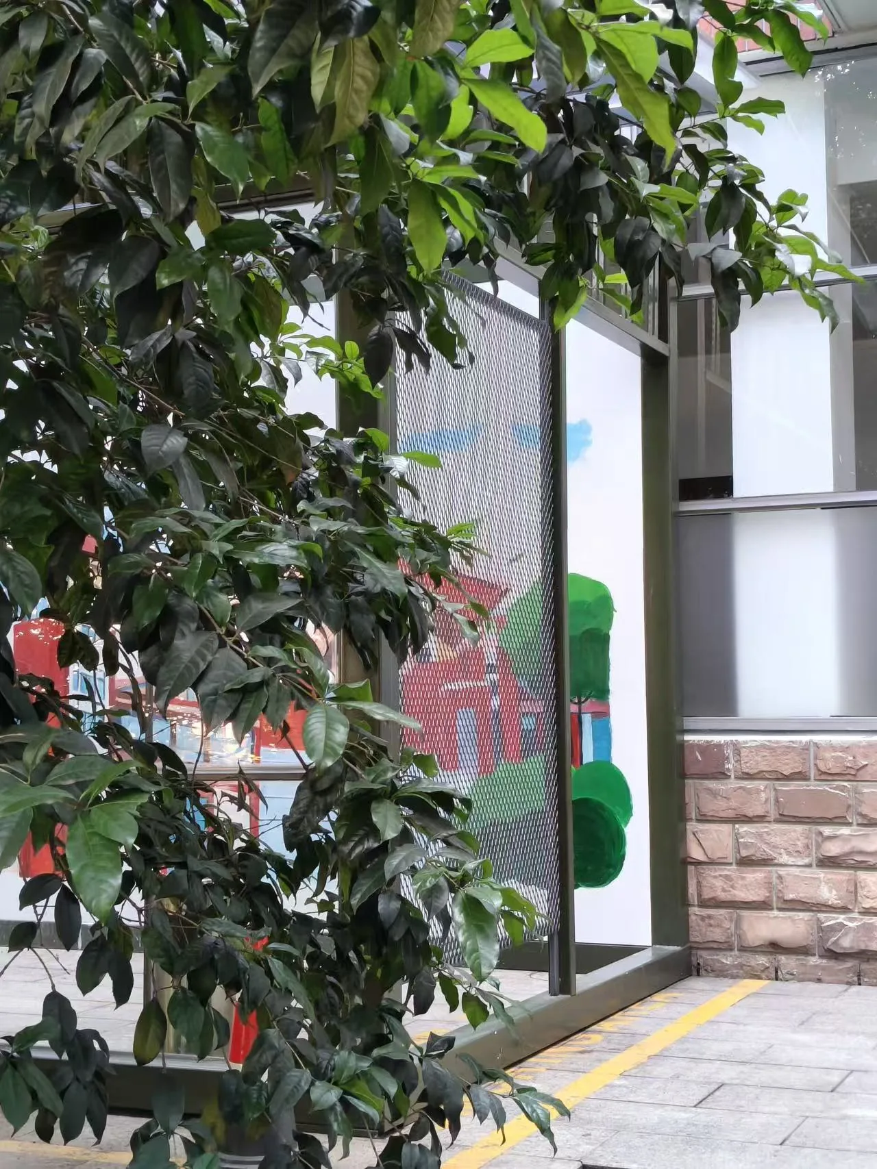 呼吸绿盒现场搭建完成照片